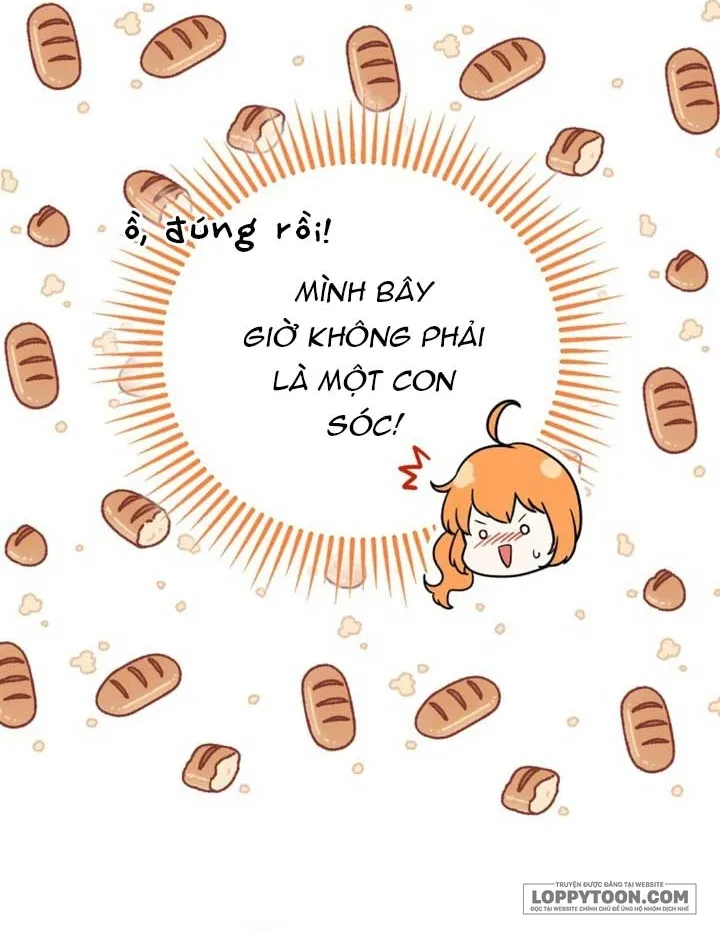 Sóc Con Tài Năng Chap 72 - trang 24