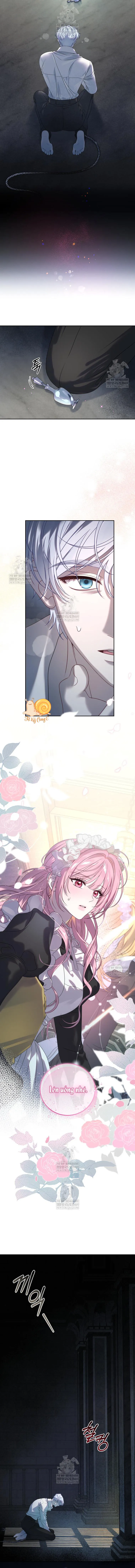 Kẻ Ám Ảnh Cuồng Tín Đang Cố Giam Cầm Tôi Chap 1 - trang 13