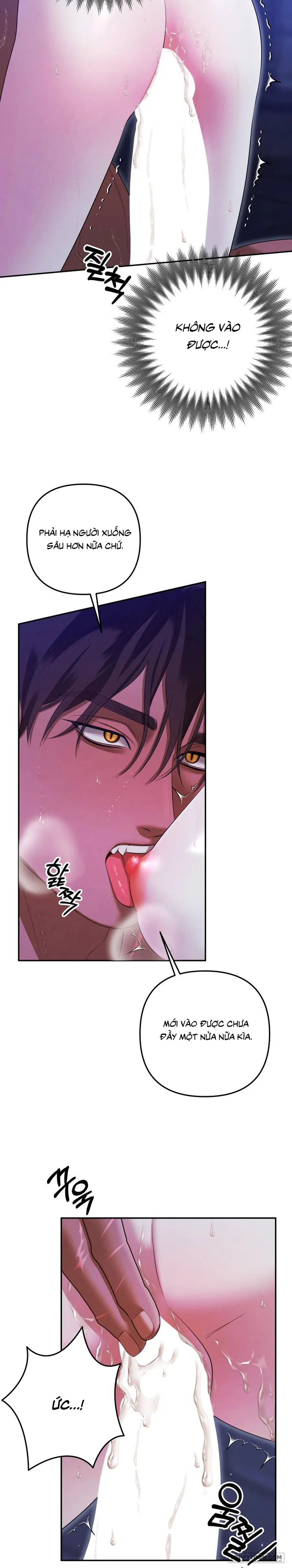 Cuộc Hôn Nhân Bị Cướp Đoạt Chap 36 - 🔞🔞🔞🔞🔞 - trang 5