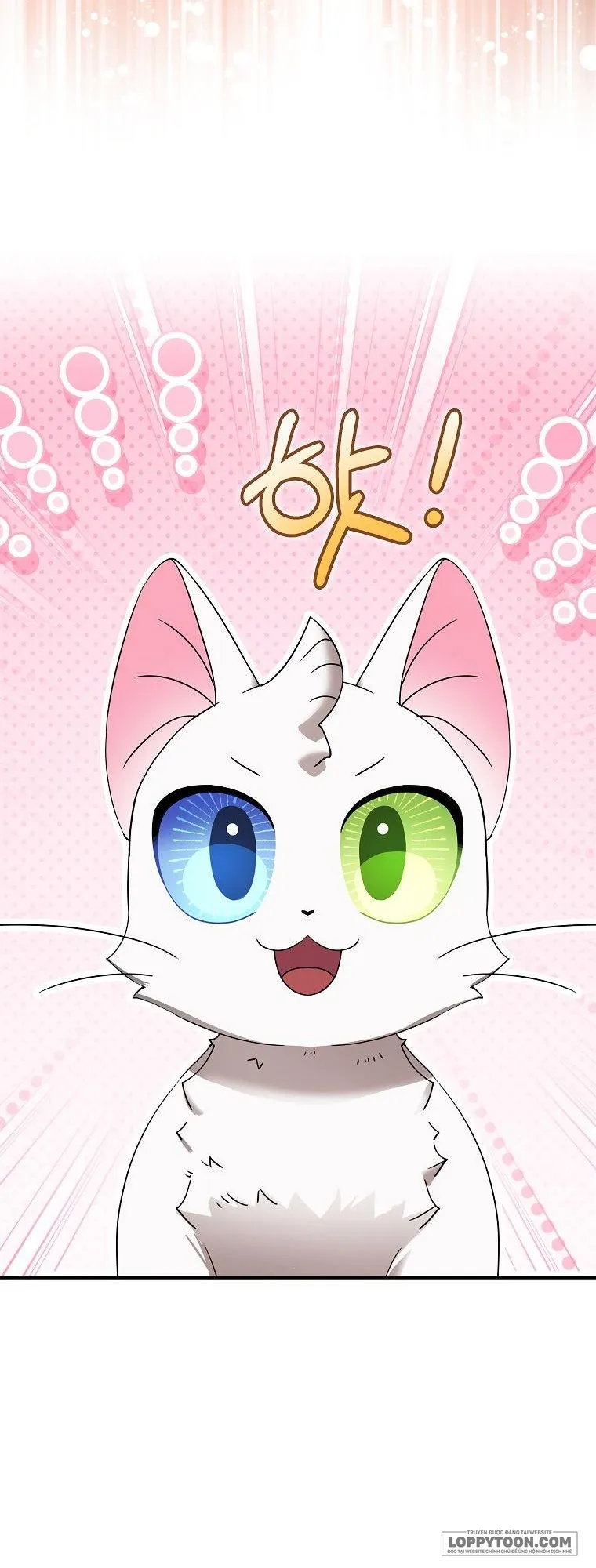 Trở Thành Miêu Nữ Của Hoàng Đế Chap 20 - trang 18