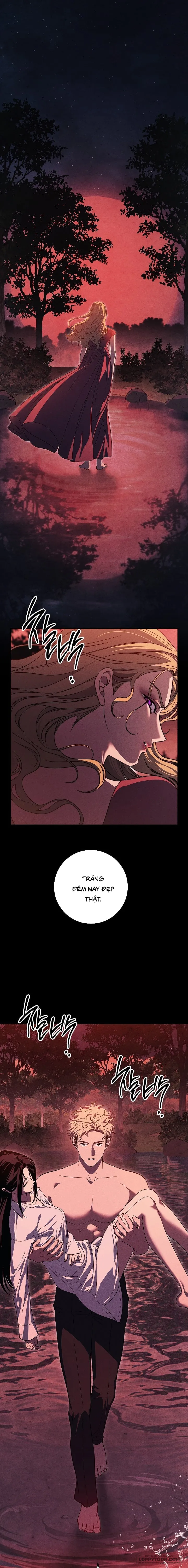 Mộ Thiên Nga Chap 34 - trang 1