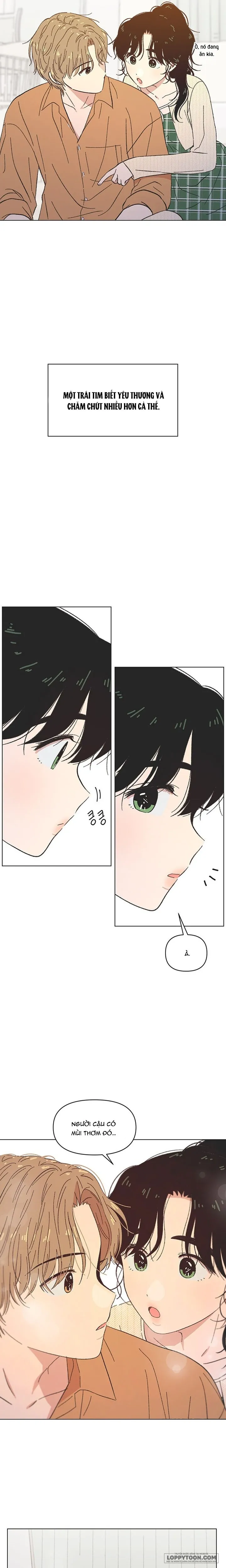 Thanh Xuân Ngọt Ngào Chap 60 - trang 5