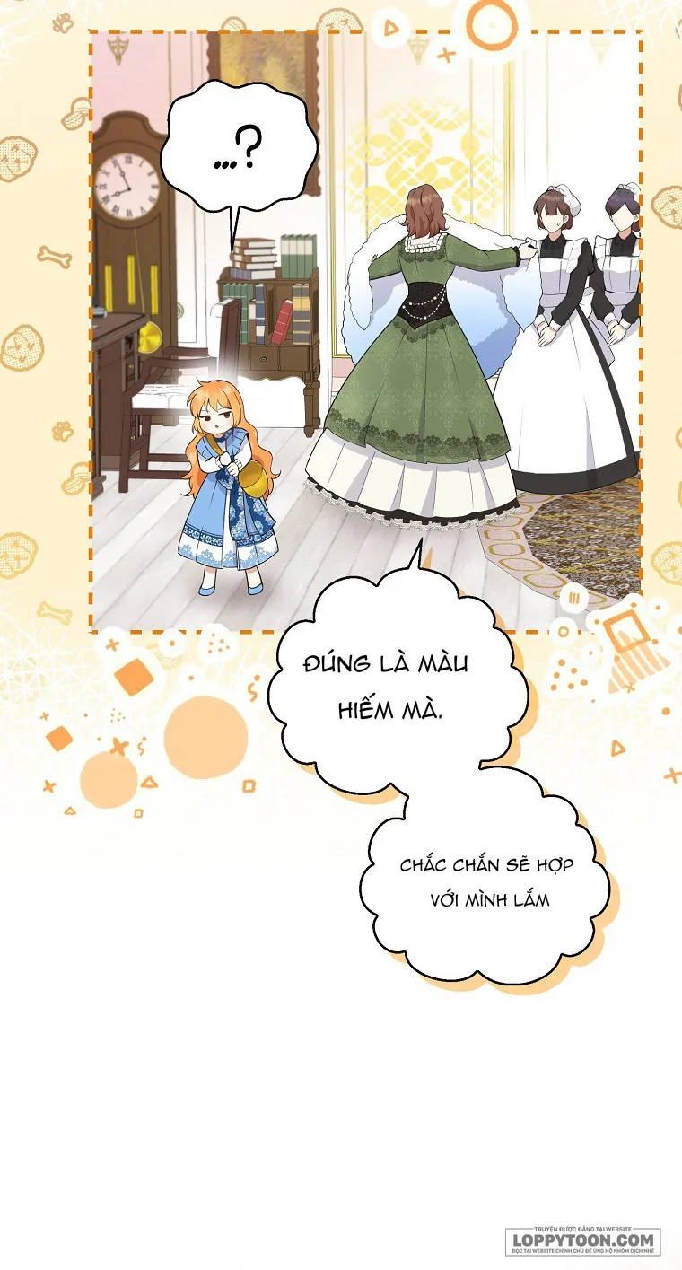 Sóc Con Tài Năng Chap 25 - trang 5