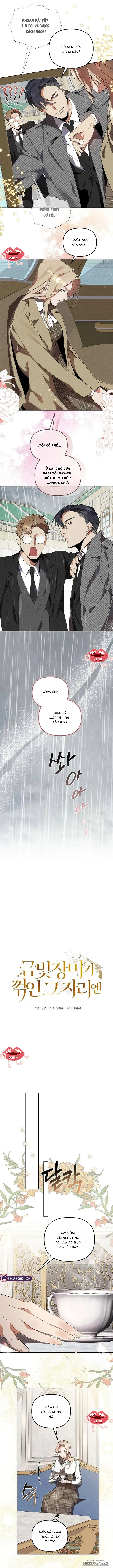 Nơi Đóa Hồng Vàng Úa Tàn Chap 5 - trang 5