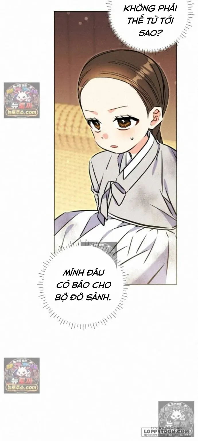 Tôi Sinh Ra Là Con Gái Của Một Cung Phi Hèn Mọn Chap 84 - trang 55