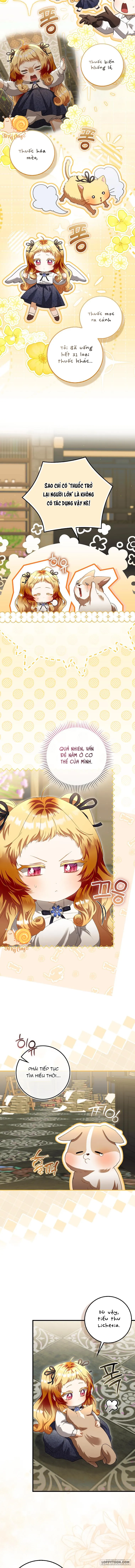 Nàng Tiên Bé Con Là Nhân Vật Phản Diện Chap 48 - trang 11