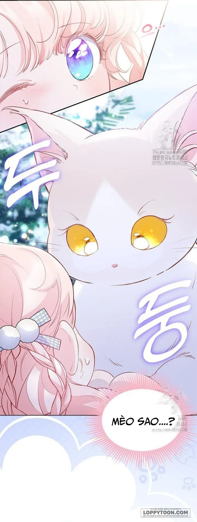 Đã Từ Chối Sủng Ái Rồi Mà Sao Còn Ám Ảnh Thế? Chap 27 - trang 6