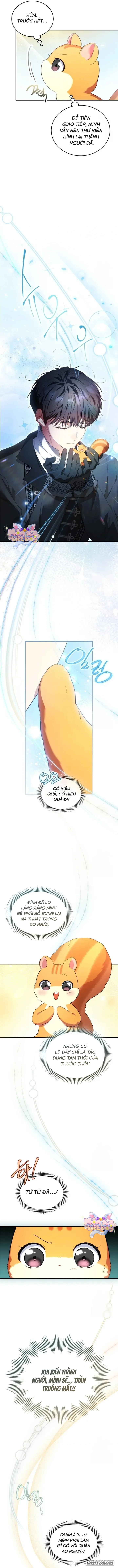 Trở Thành Sóc Nhỏ Của Kẻ Phản Diện Chap 23 - trang 5