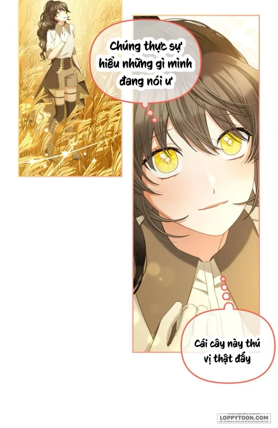 Tôi Sẽ Ở Ngay Bên Cạnh Nam Chính Chap 47 - trang 17