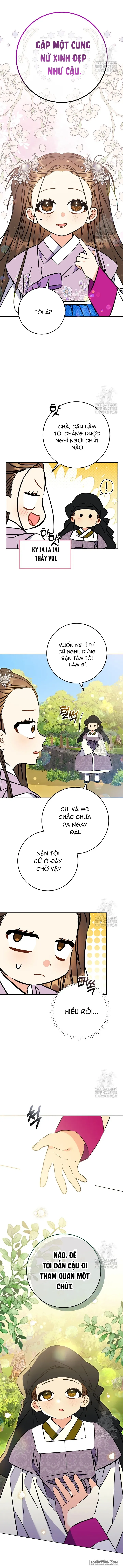 Tôi Sinh Ra Là Con Gái Của Một Cung Phi Hèn Mọn Chap 38 - trang 4