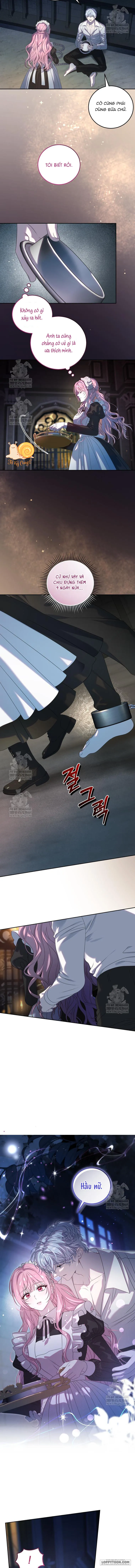 Kẻ Ám Ảnh Cuồng Tín Đang Cố Giam Cầm Tôi Chap 2 - trang 11