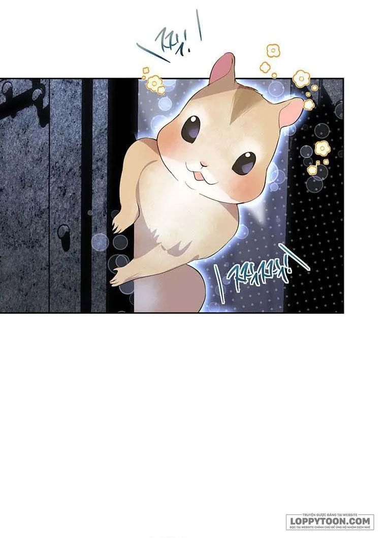 Phía Sau Mặt Nạ Của Nam Chính Hiền Lành Chap 11 - trang 23