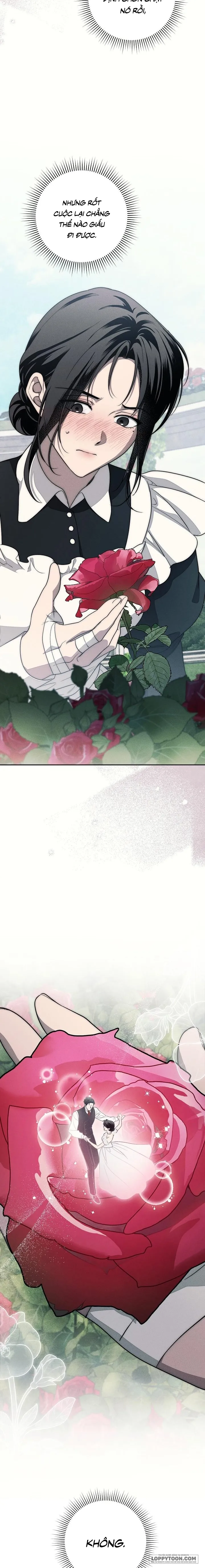 Mộ Thiên Nga Chap 22 - trang 26