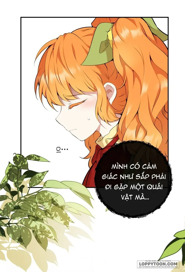 Sóc Con Tài Năng Chap 1 - trang 34