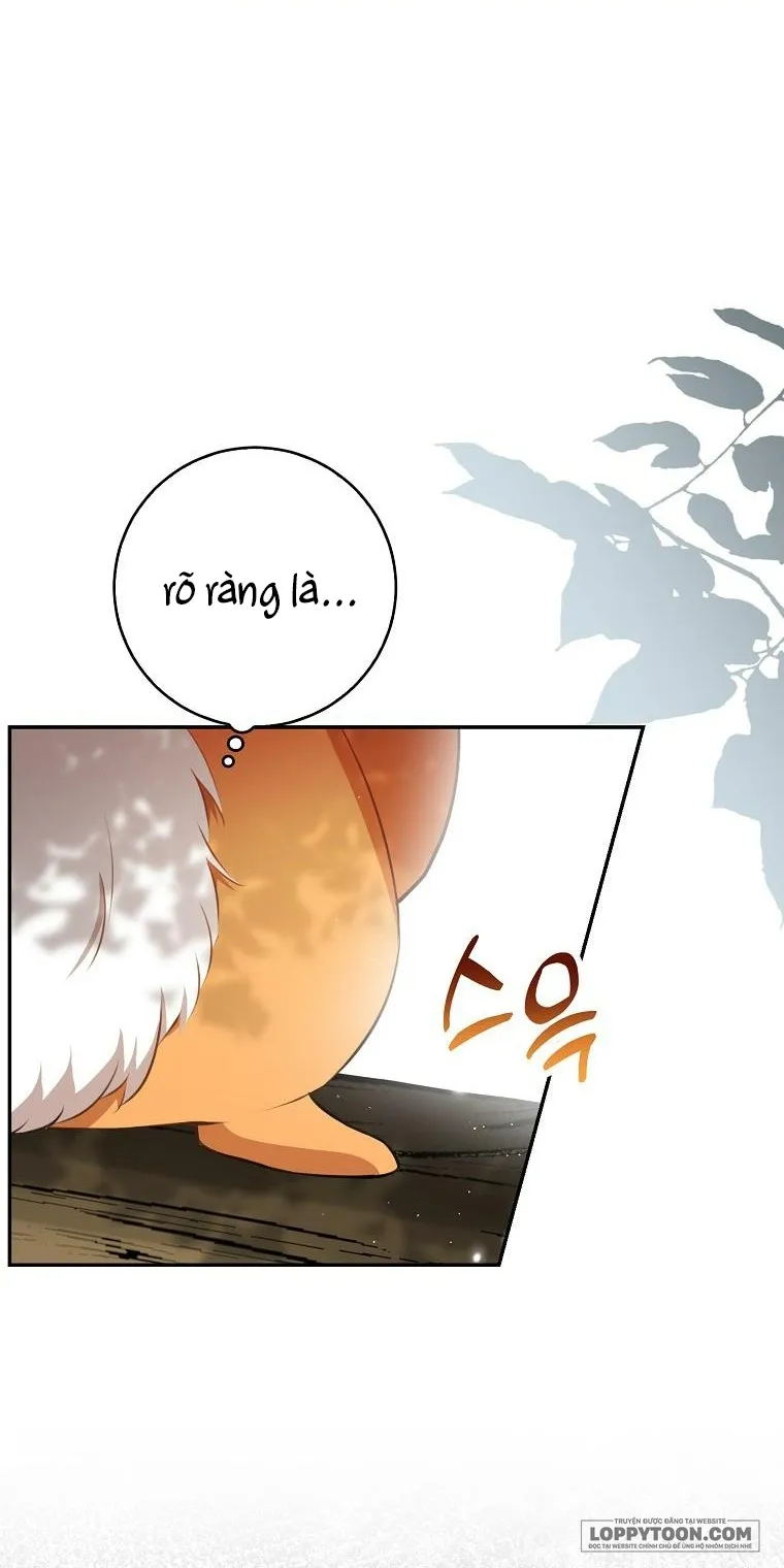 Sóc Con Tài Năng Chap 48 - trang 54