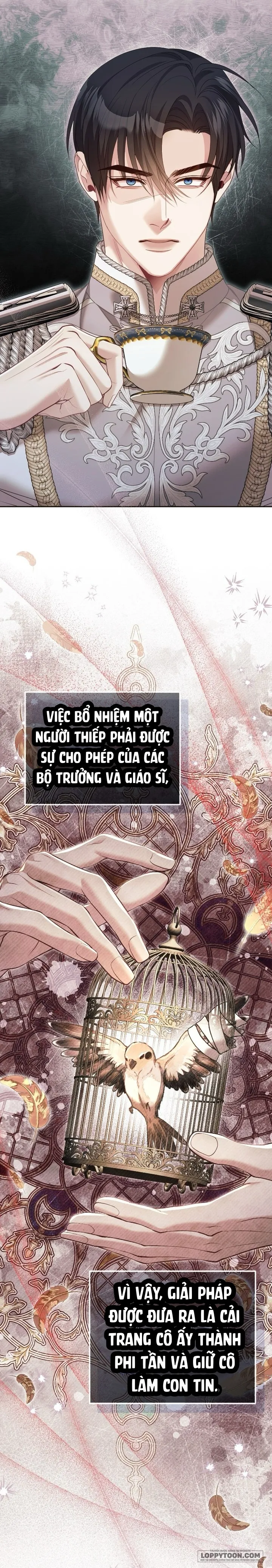 Tôi Đã Trải Qua Đêm Đầu Tiên Dù Chỉ Là Hoàng Hậu Thay Thế Chap 48 - trang 17