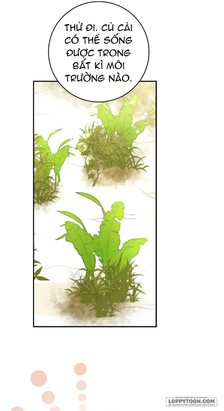 Sóc Con Tài Năng Chap 8 - trang 48