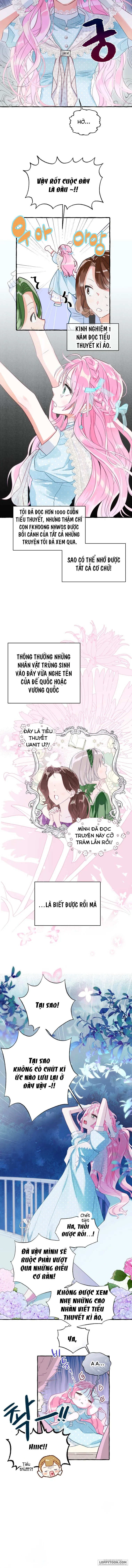 Bạn Sẽ Chết Nếu Không Biết Luật Tiểu Thuyết Chap 1 - trang 9