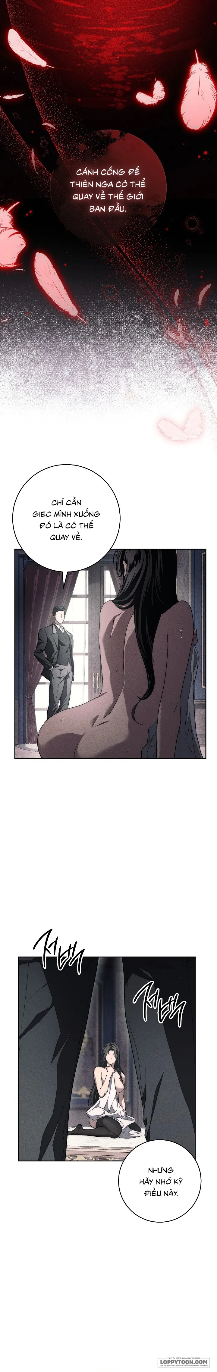 Mộ Thiên Nga Chap 11 - 🔞🔞🔞 - trang 19