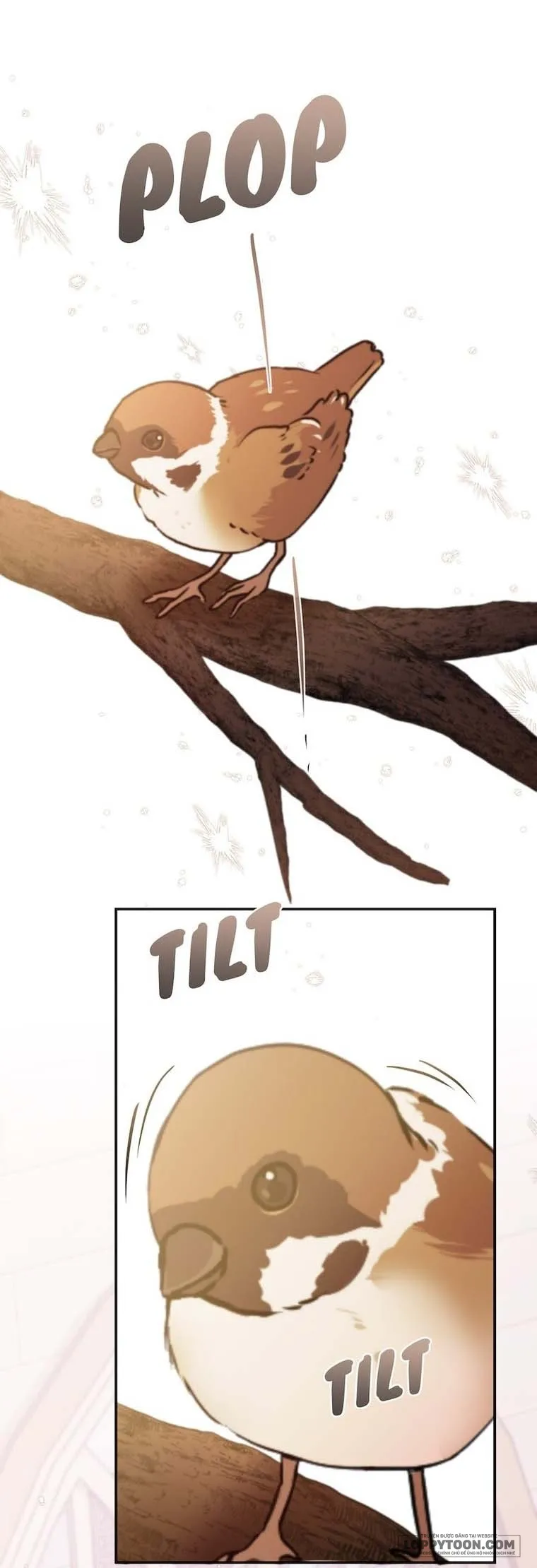 Hầu Nữ Không Còn Thèm Muốn Chủ Nhân Nữa Chap 43 - trang 1