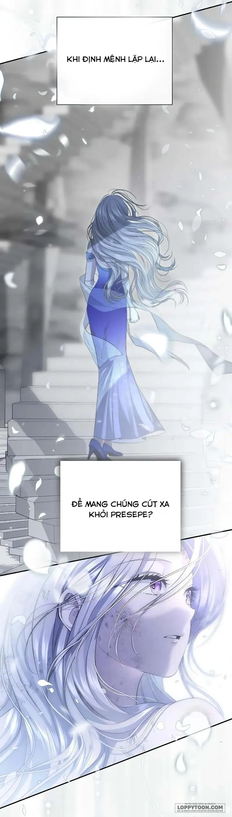 Presepe Bên Ngoài Chiếc Lồng Chap 17 - trang 52