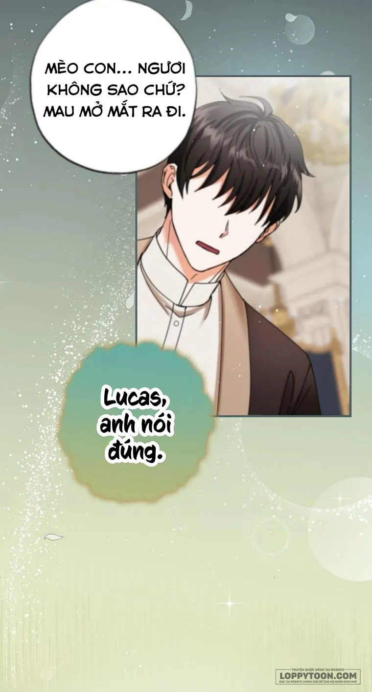 Trở Thành Miêu Nữ Của Hoàng Đế Chap 4 - trang 36