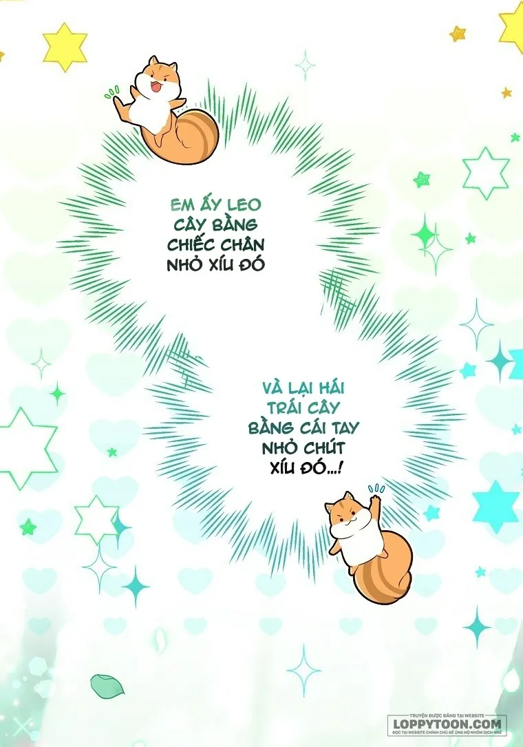Sóc Con Tài Năng Chap 29 - trang 28