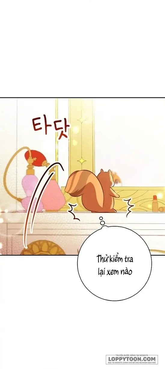Sóc Con Tài Năng Chap 52 - trang 20