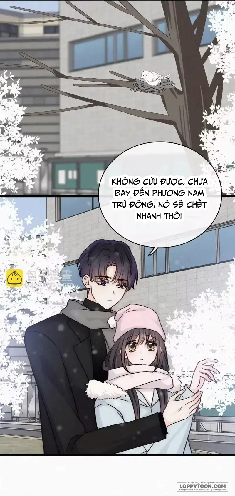 Một Lòng Cưng Chiều Chap 190 - trang 8