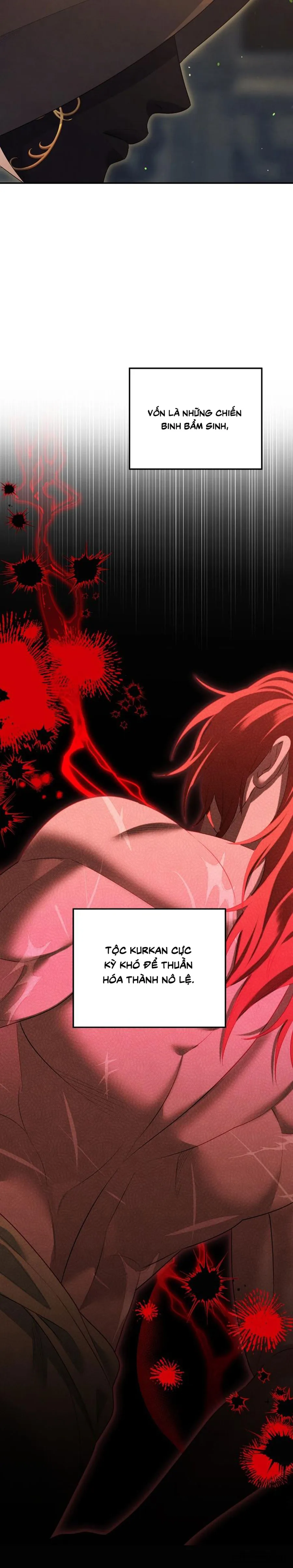 Cuộc Hôn Nhân Bị Cướp Đoạt Chap 33 - trang 15