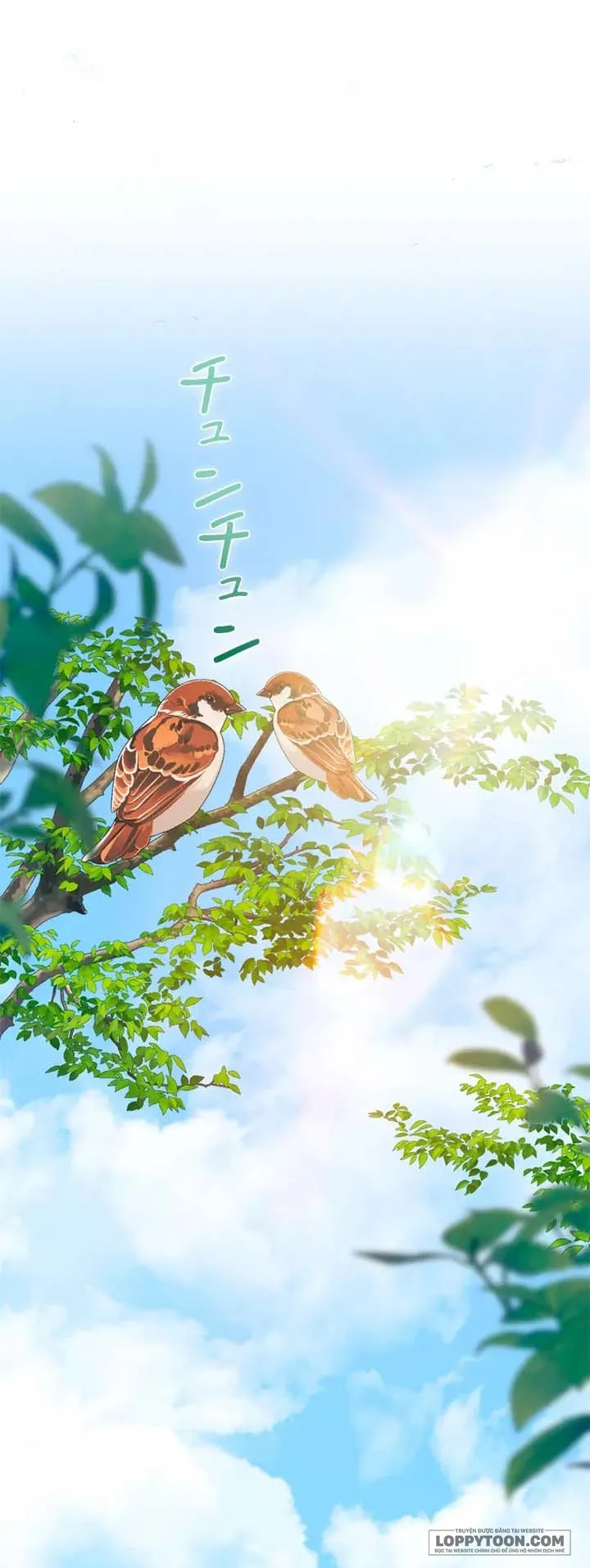 Không Cần Hối Hận Chap 28 - trang 1