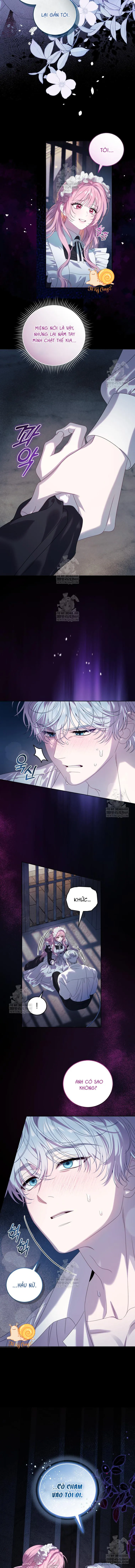 Kẻ Ám Ảnh Cuồng Tín Đang Cố Giam Cầm Tôi Chap 1 - trang 2