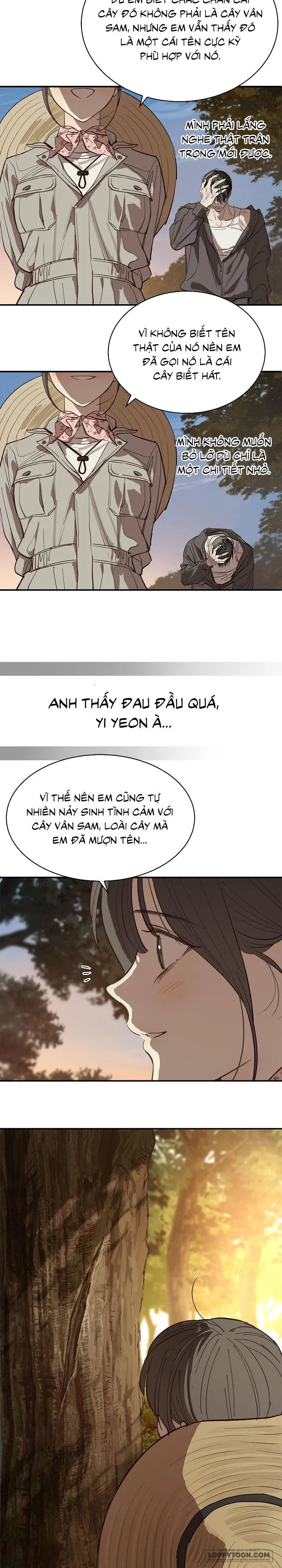 Đóa Hoa Là Mồi Nhử Chap 39 - trang 20