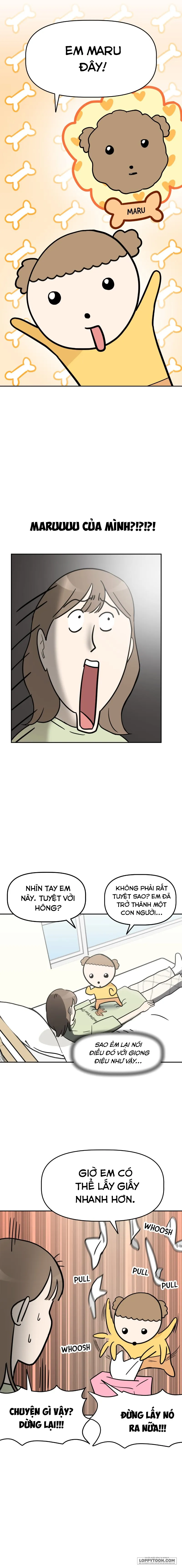 Maru là cún cưng của tôi Chap 1 - trang 19