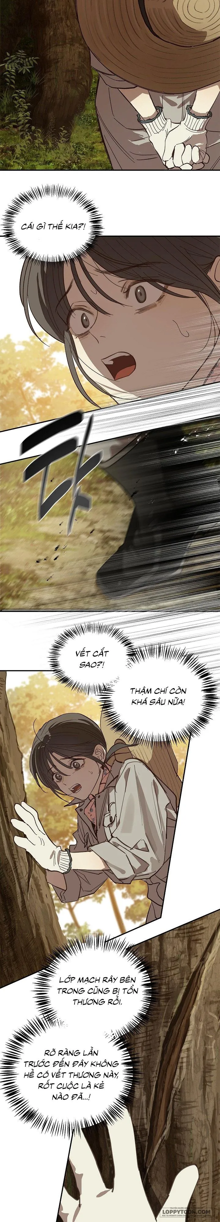 Đóa Hoa Là Mồi Nhử Chap 39 - trang 21