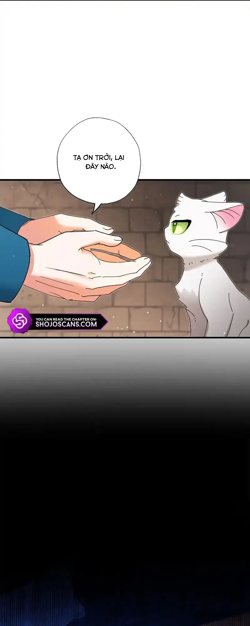 Trở Thành Miêu Nữ Của Hoàng Đế Chap 25 - trang 15