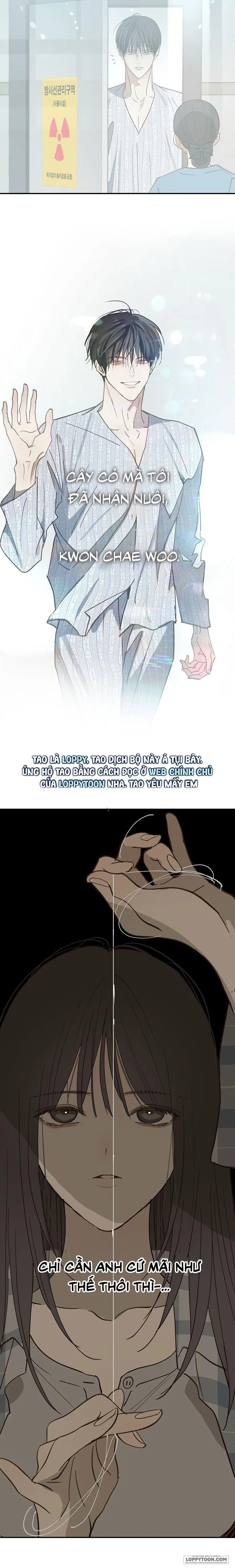 [KHÔNG CHE] Đóa Hoa Là Mồi Nhử Chap 51 - 🔞🔞🔞 - trang 20
