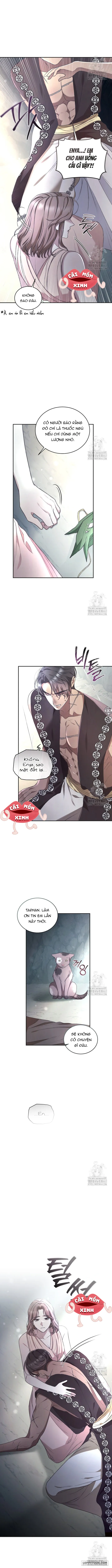 Khu Rừng Hoang Dã Chap 47 - trang 13