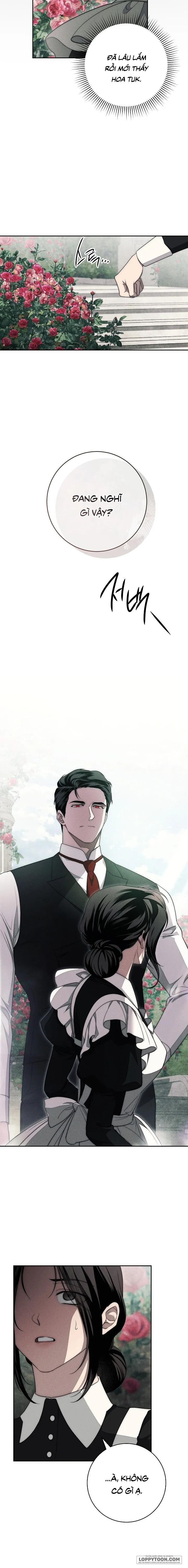 Mộ Thiên Nga Chap 16 - trang 13