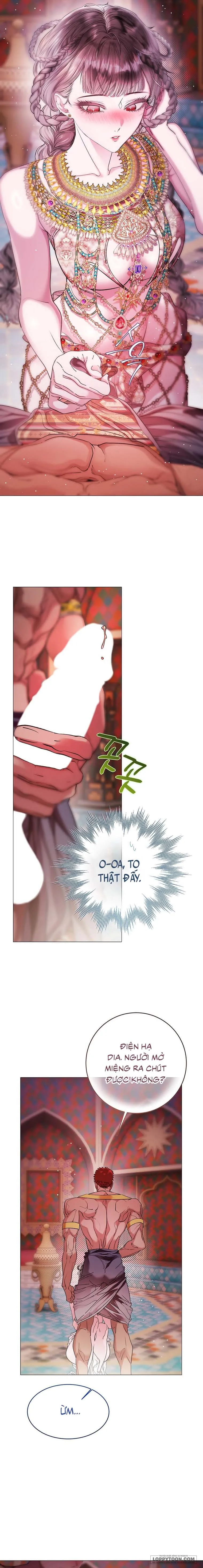 Cẩm Nang Chinh Phục Dành Cho Merry Bad Ending Chap 11 - 🔞🔞🔞 - trang 13