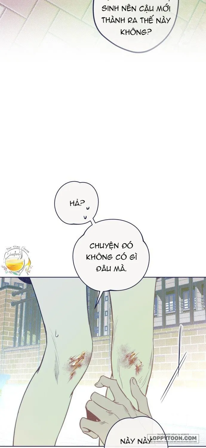 Trắc Nghiệm 4 Lựa Chọn Chap 15 - trang 26