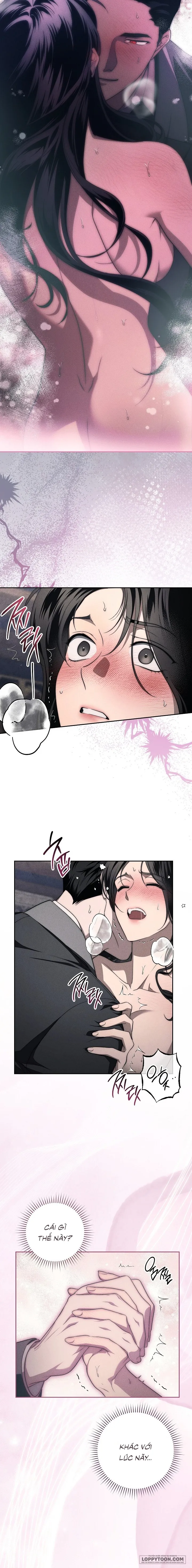 Mộ Thiên Nga Chap 11 - 🔞🔞🔞 - trang 8