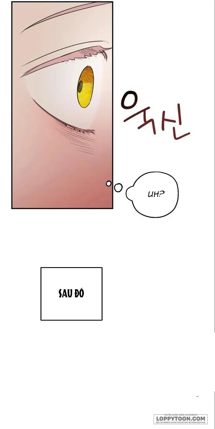 Gia Đình Chồng Quá Ám Ảnh Bởi Tôi Chap 81 - trang 23