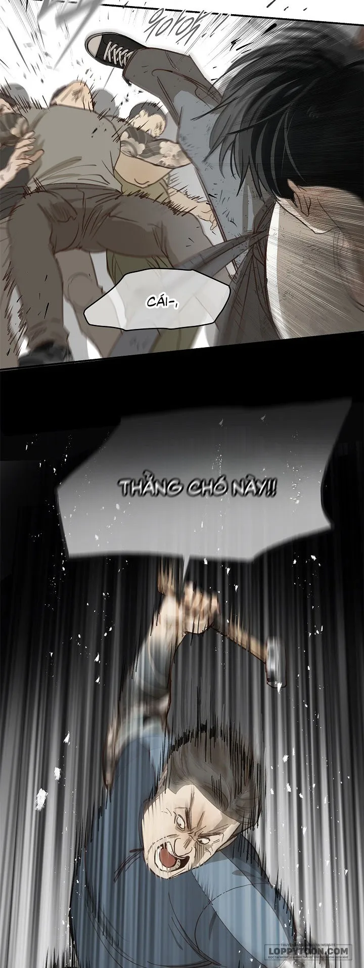 Đóa Hoa Là Mồi Nhử Chap 41 - trang 24