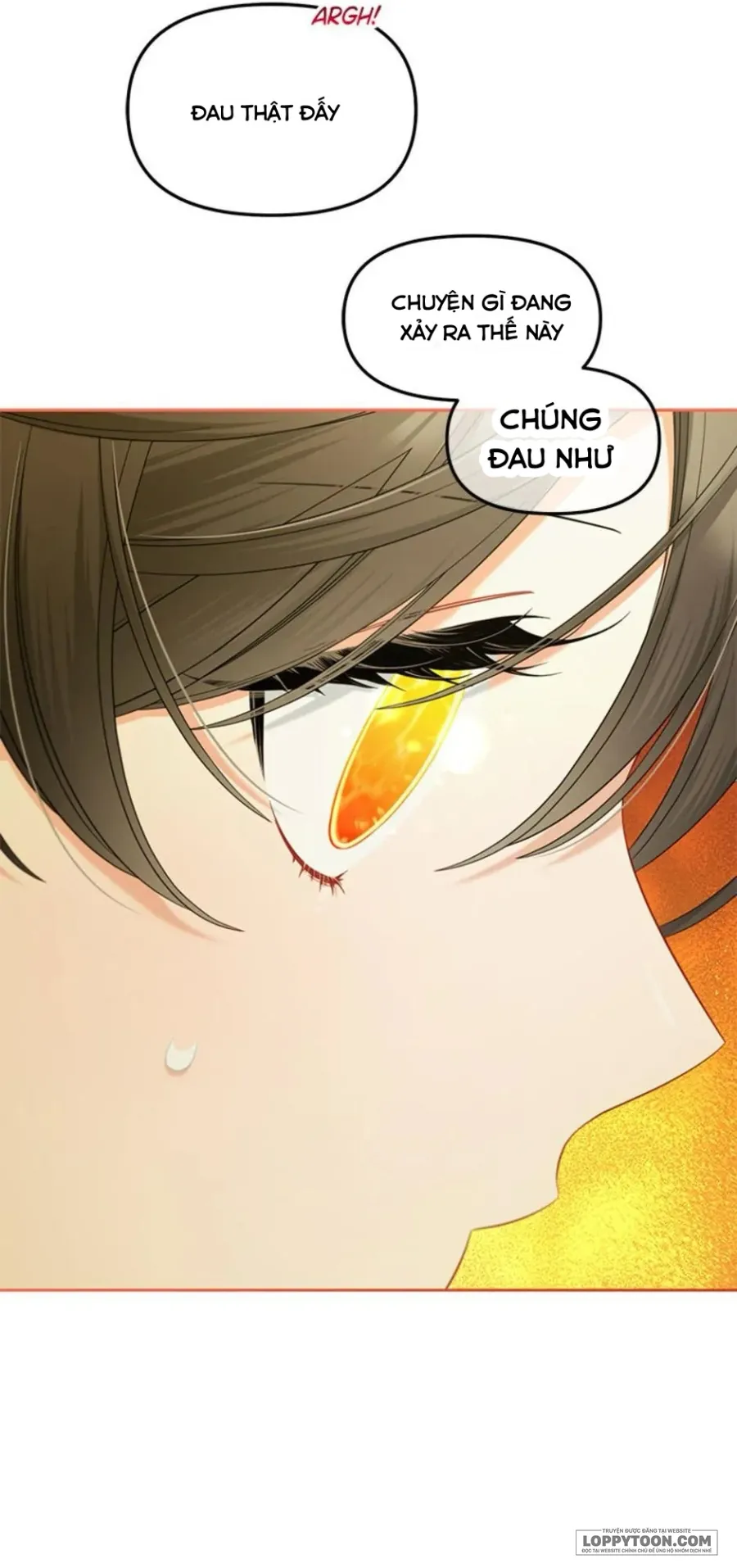 Tôi Sẽ Ở Ngay Bên Cạnh Nam Chính Chap 47 - trang 59