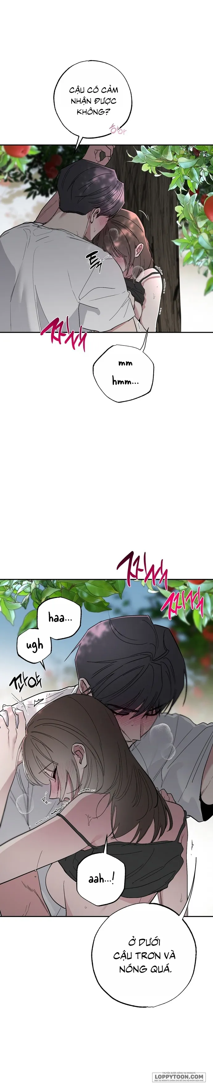 Ẩn Tình Nơi Vườn Cây Ăn Quả Chap 5 - 🔞🔞 - trang 22