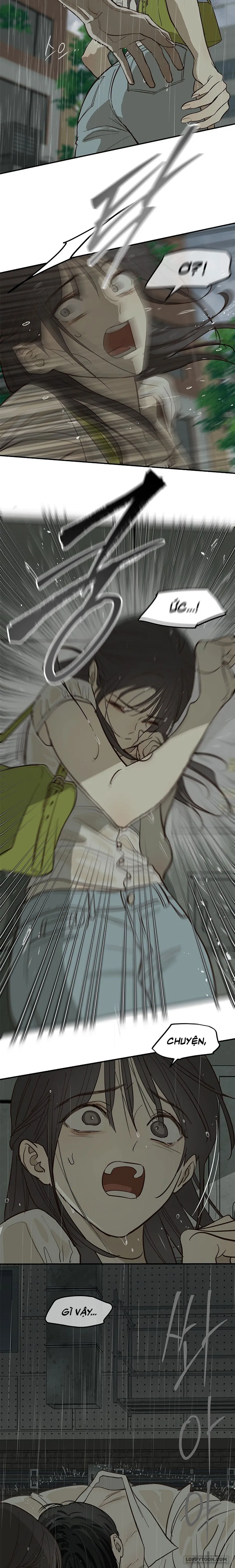 Đóa Hoa Là Mồi Nhử Chap 47 - trang 2