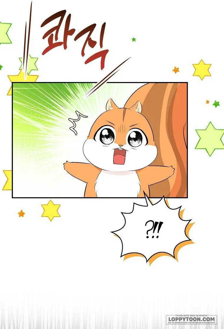 Sóc Con Tài Năng Chap 29 - trang 38