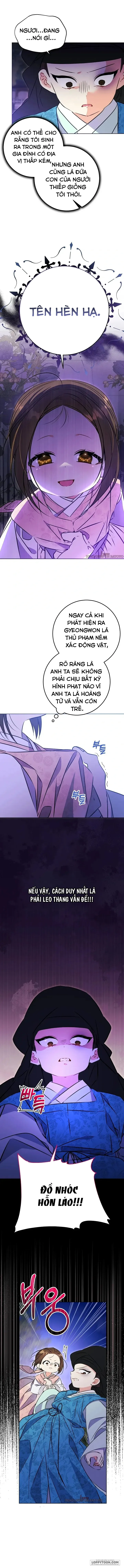 Tôi Sinh Ra Là Con Gái Của Một Cung Phi Hèn Mọn Chap 20 - trang 8