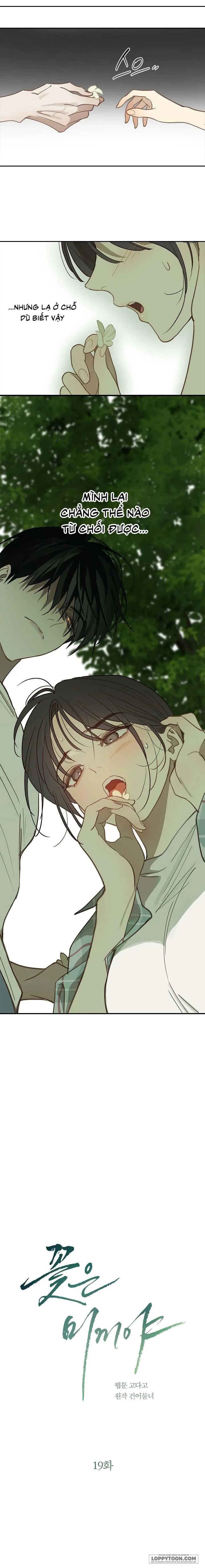 [KHÔNG CHE] Đóa Hoa Là Mồi Nhử Chap 19 - trang 2